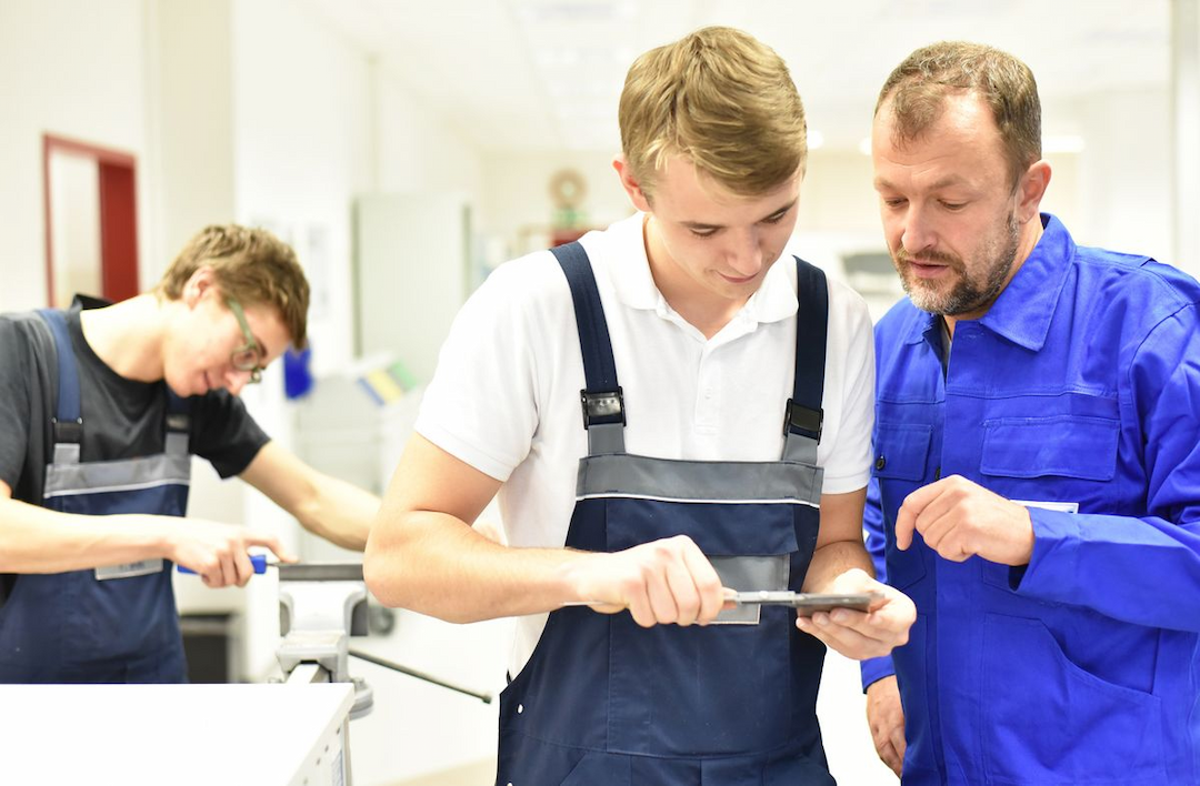 Vocational Rehabilitation Sector (Ausbildung)